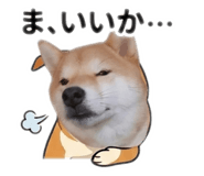 842884060