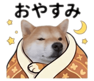 842884063