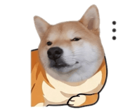842884065