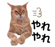 842884441