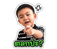 842884516