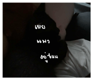 842884733