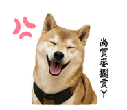 842885370