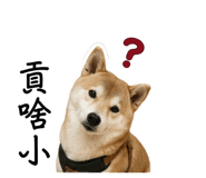 842885371