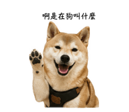 842885372