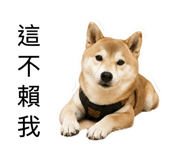 842885375