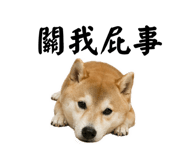 842885376