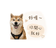 842885380