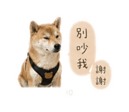 842885381