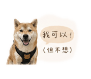 842885382