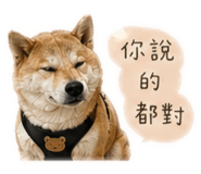 842885384