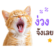842885431