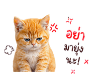 842885762