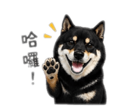 842886217