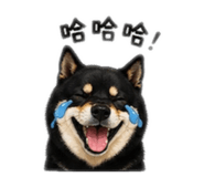 842886221
