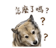 842886302