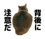 842886859