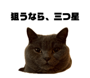 842886867