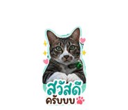 842887393