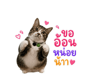 842887400