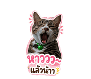 842887406