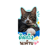 842887407