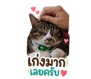 842887408