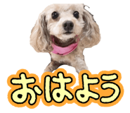 842888229
