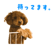 842888230