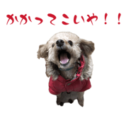 842888232