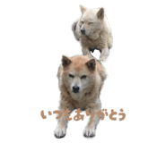 842888502