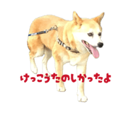 842888504