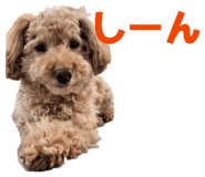 842889148