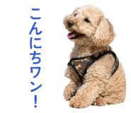 842889152