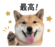 842889257