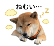 842889259