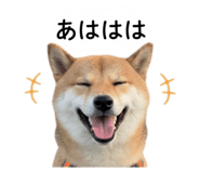 842889261