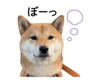 842889268