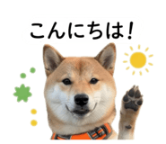 842889270