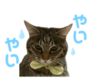 842889698