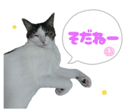 842889701