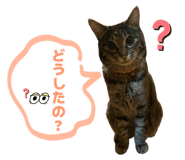 842889709