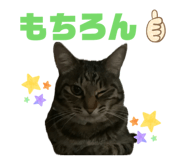 842889733
