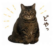 842889808
