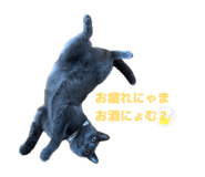 842889870