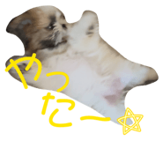 842890040