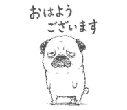 842891241