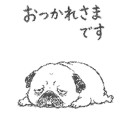 842891242