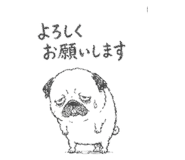 842891243