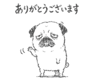 842891244
